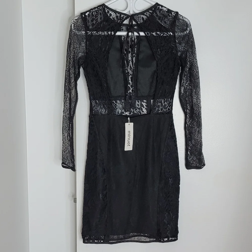 Minuet sheer lace dress - Picture 10 of 15